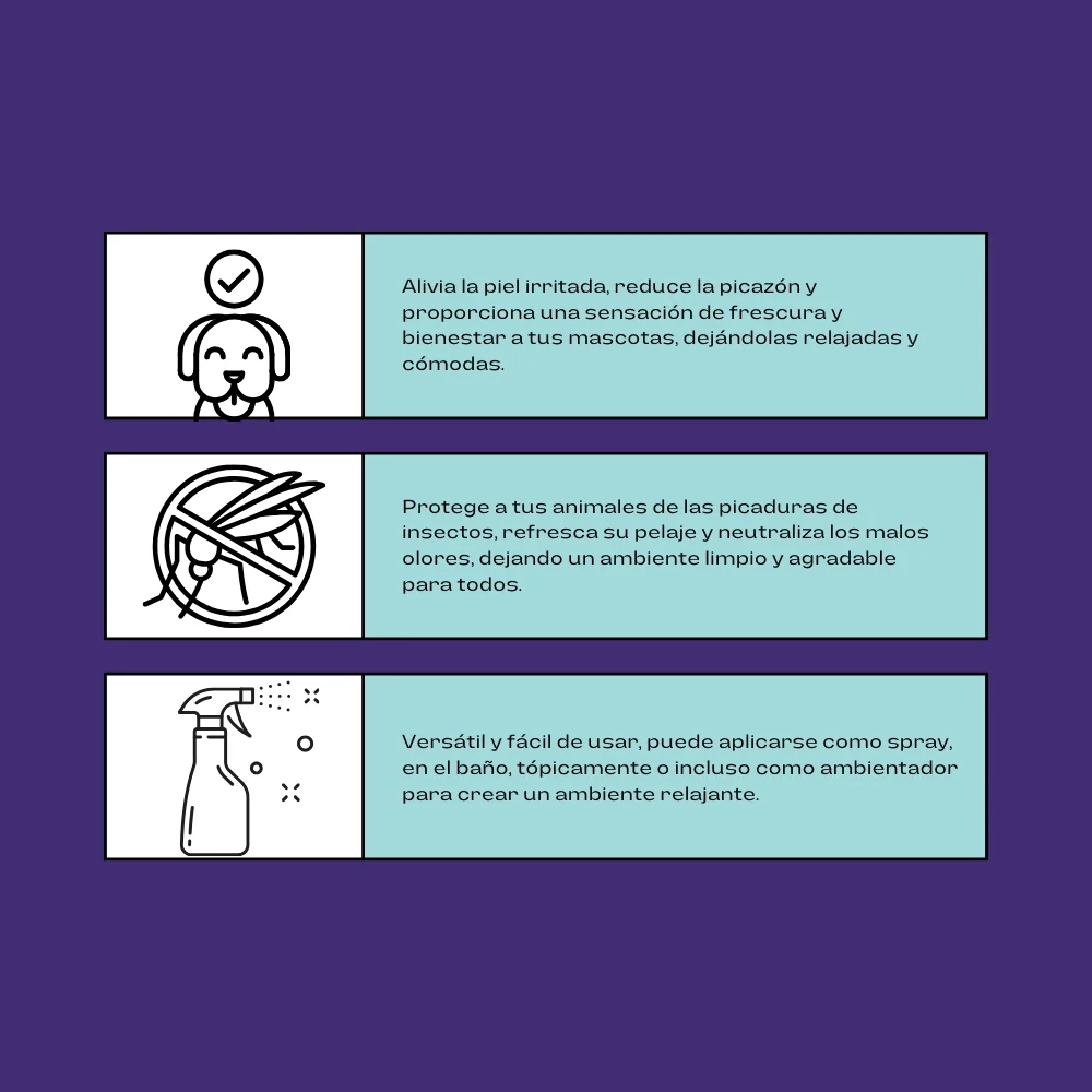 Hidrolato de Lavanda – Agua Aromática Natural para Limpieza, Relajación y Protección de Tus Mascotas - 250 ml - Imagen 2